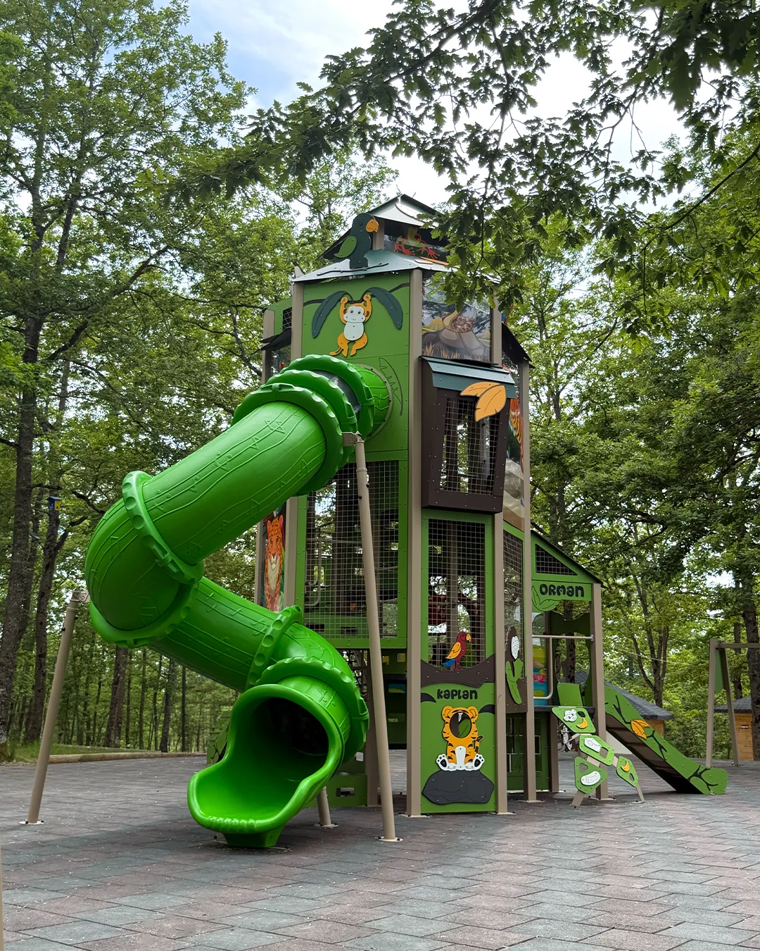 Samsun Büyükşehir Belediyesi 2