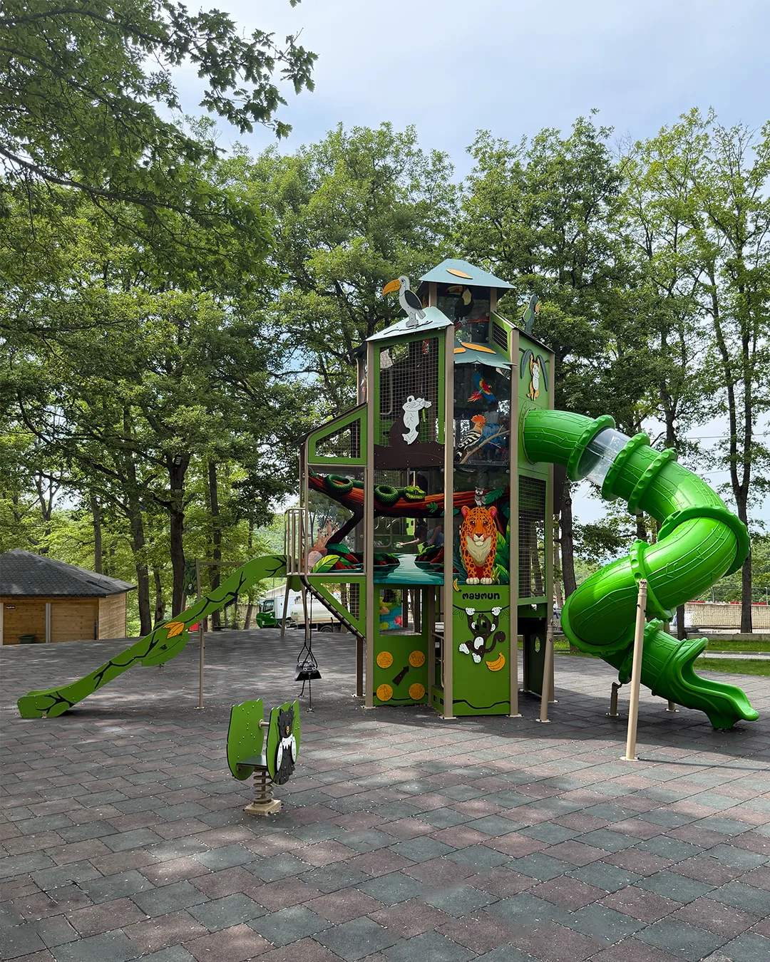 Samsun Büyükşehir Belediyesi 4